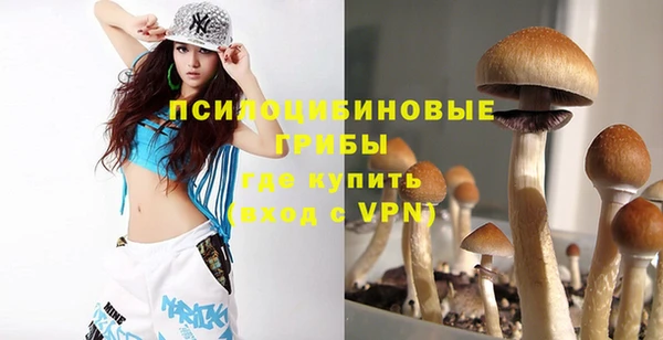 бошки Абаза