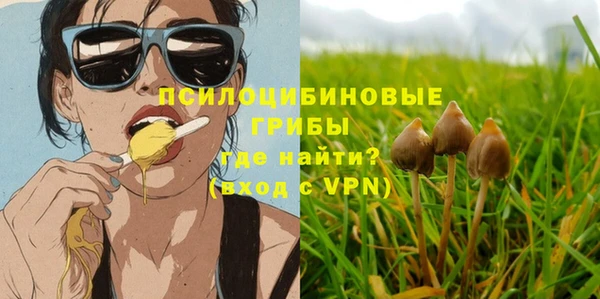 амф Алзамай